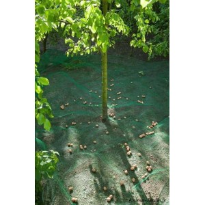 Filet de ramassage vert, 4,3 x 4,3 m, Nature, achat, pas cher