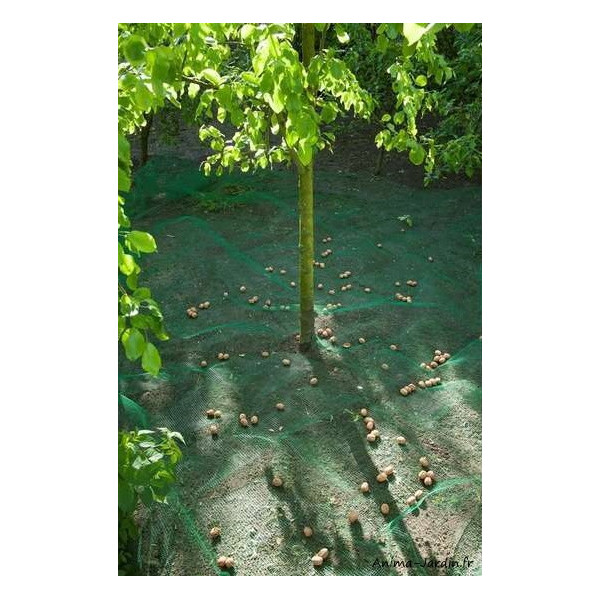 Filet de ramassage vert, 4,3 x 4,3 m, Nature, achat, pas cher