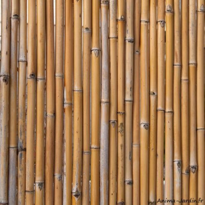 Ecran de bambou, 100 % occultant, occultation jardin, Nature, achat, pas cher