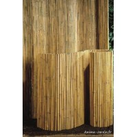 Ecran de bambou, 100 % occultant, occultation jardin, Nature