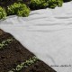 Voile hivernage blanc, 30 g/m2, protection plante, Nature Jardin, achat pas cher