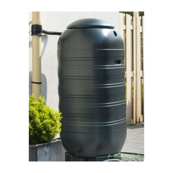 Récupérateur d'eau rigide, forme murale, 100 L ou 250 L, Nature