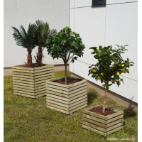 Jardinière en bois, carré, Küb, Jardipolys, bac extérieur, plantes, pas cher, achat