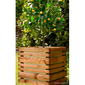 Jardinière en bois, carré, 50 cm, Lign Z, bac extérieur, Jardipolys, achat, pas cher
