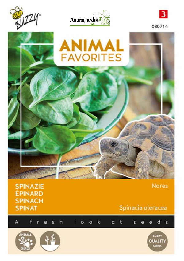 Graines d'épinards Nores pour tortue terrestre, anima-jardin.fr