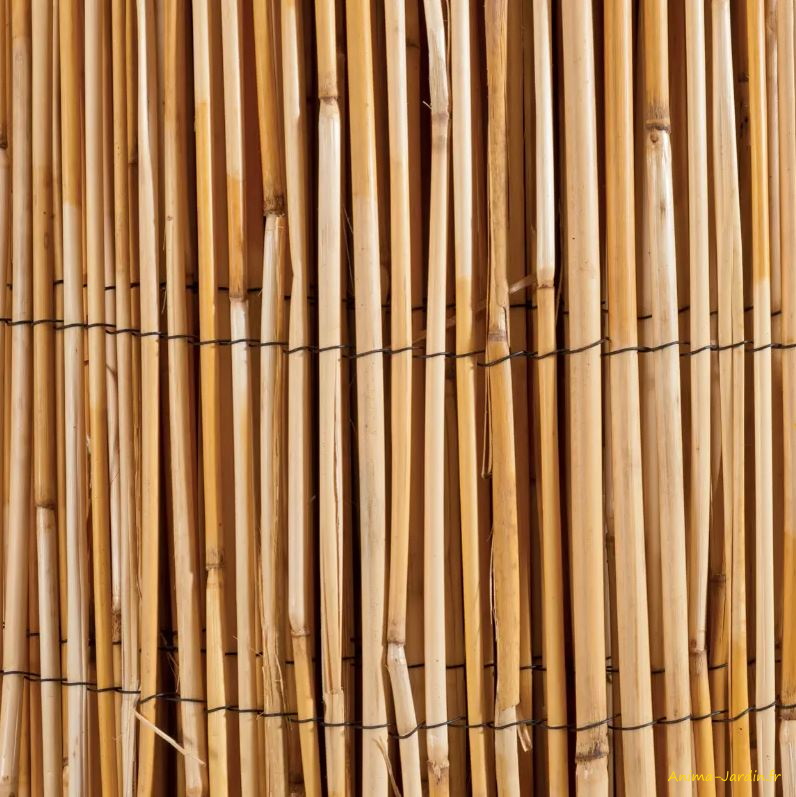 Canisse en roseau naturel-rouleau de 5 m-occultation de jardin-Anima-Jardin.fr