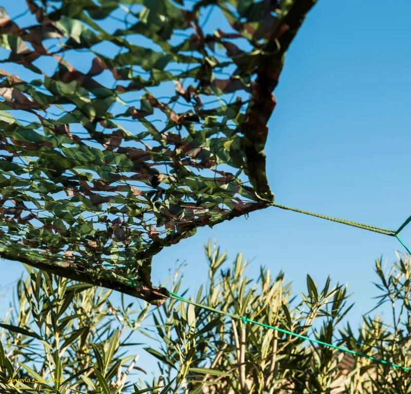 Toile d'ombrage-élégance camouflage et haute durabilité-Werka Pro-Anima-Jardin.fr