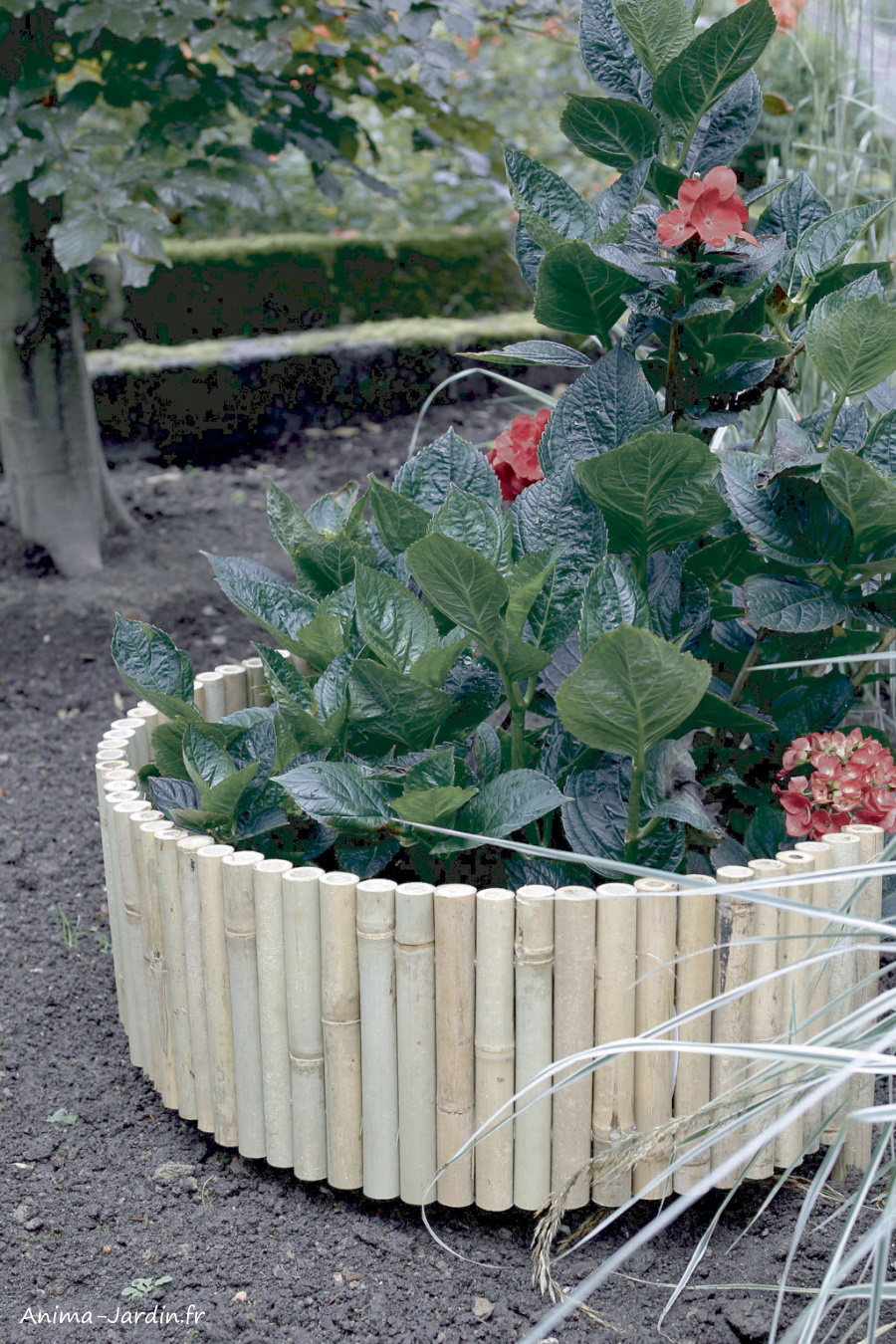 Bordure décoration de jardin 200 cm, bamboo roll Nortène-Anima-Jardin.fr