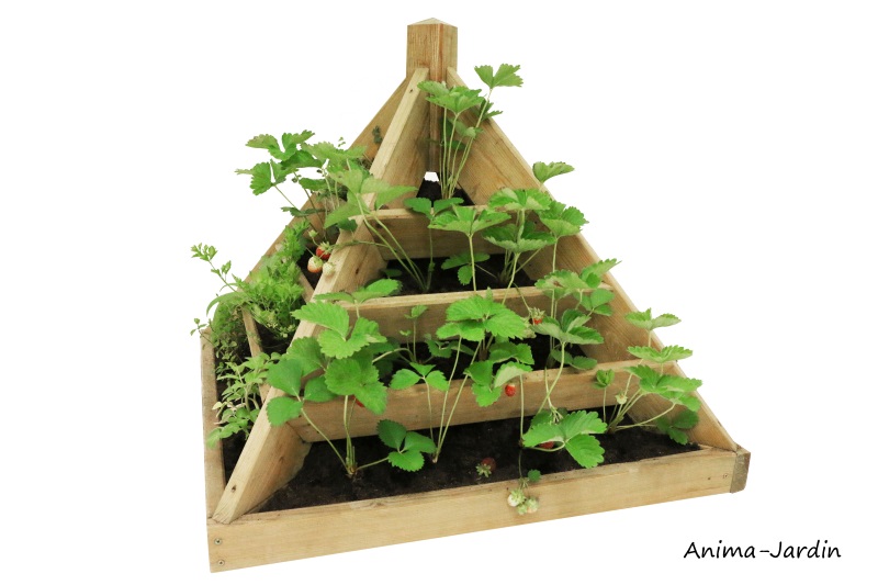 Pyramide à plants-80 cm en bois autoclave-Burger-pyramide potager-fruits-légumes-aromates-pas cher-Anima-jardin.fr