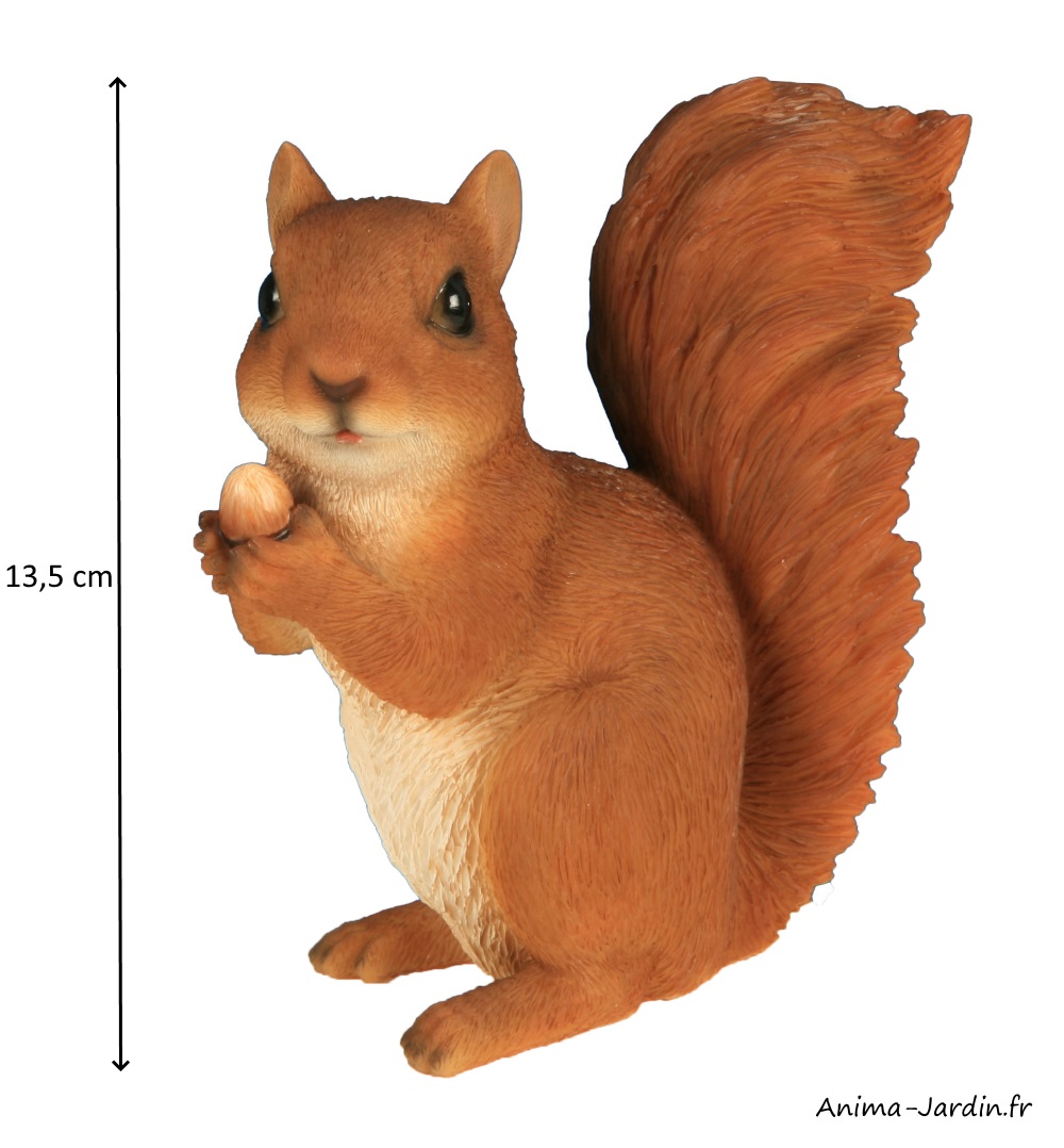 Lot de 2 écureuils, 14 cm, animal en résine, décoration de jardin, Riviera,  achat, vente, pas cher