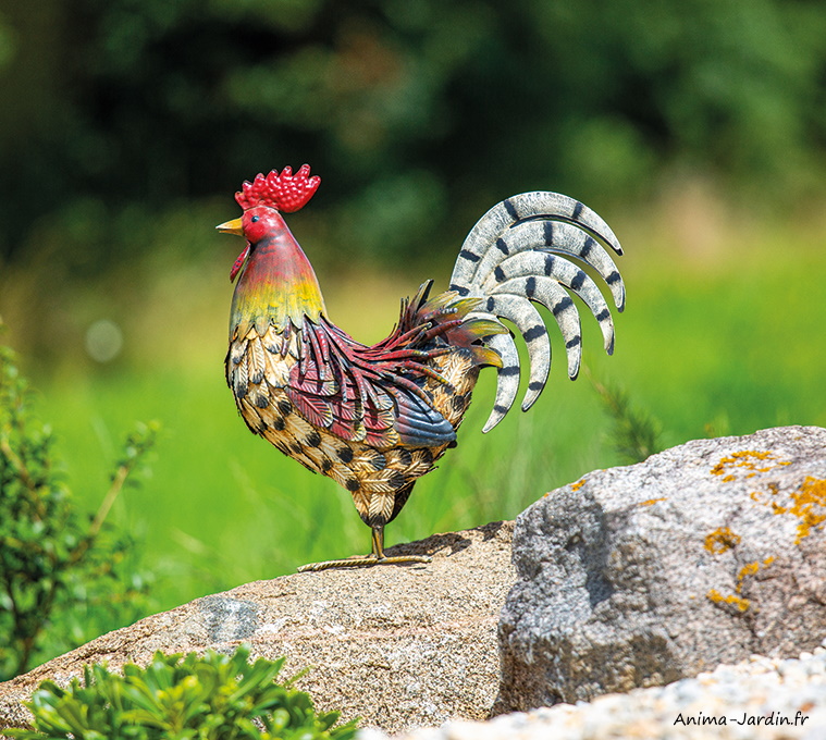 Coq en métal-Harry-animal décoratif stylisé-décoration du jardin-Nortene-achat-pas cher-Anima-Jardin.fr