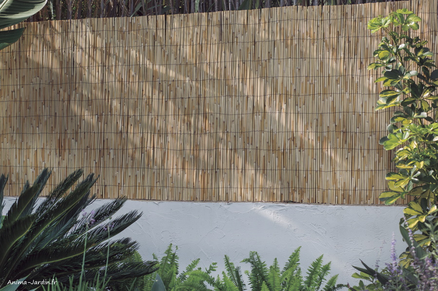canisse en roseau narurel Reedcane Plus, occultation 80%, nortene, Anima-JArdin.fr