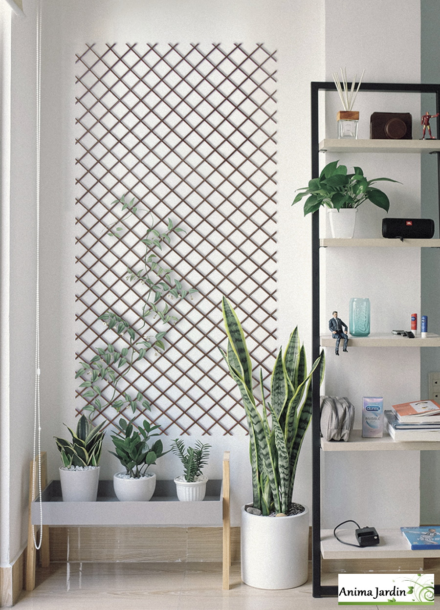 Treillis extensible en bambou, trellibambu, nortene, Anima Jardin.fr