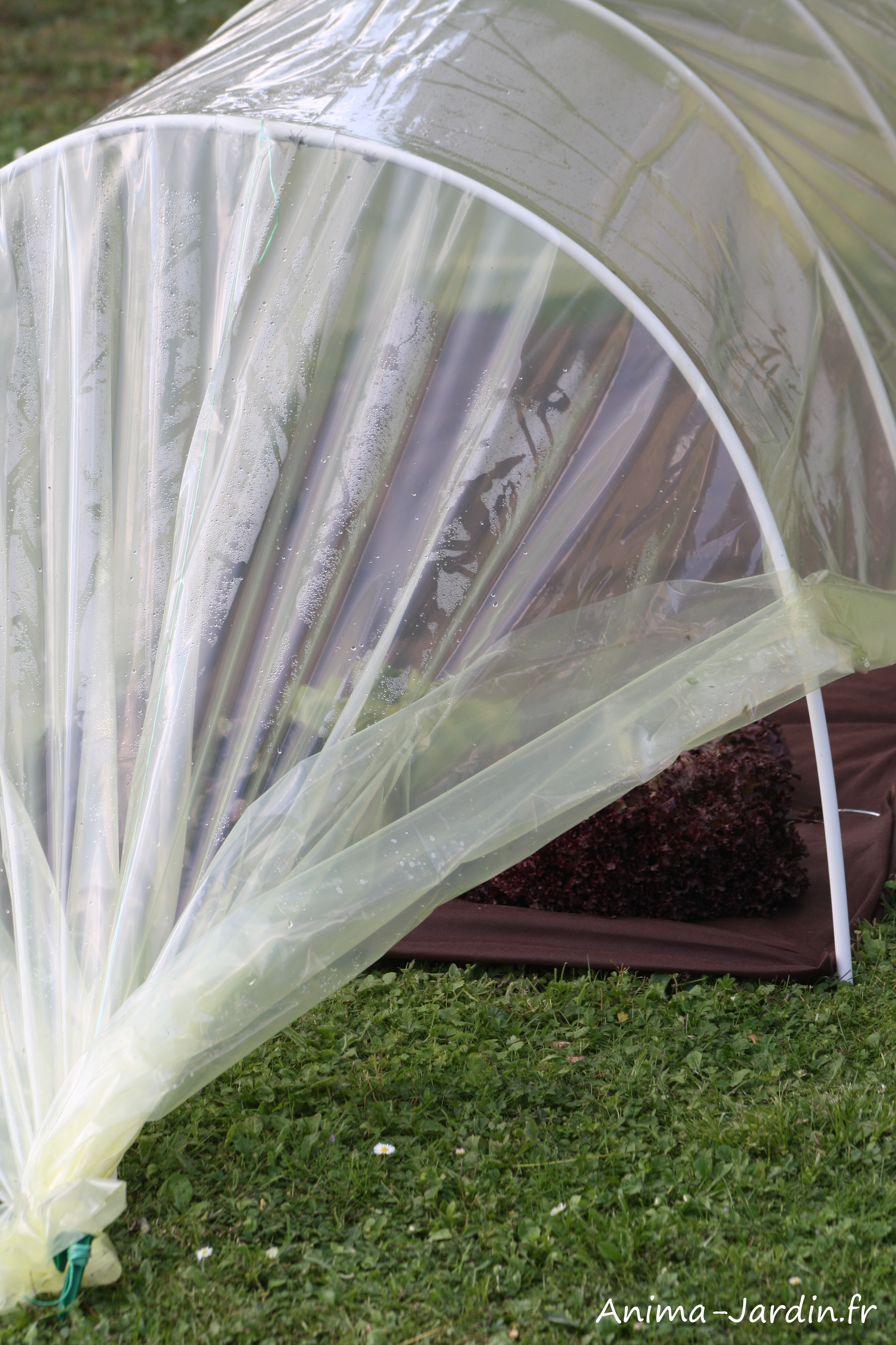 film-serre-180-microns-jaunet-ideal-garden-netlon-achat-pas-cher-anima-jardin.fr