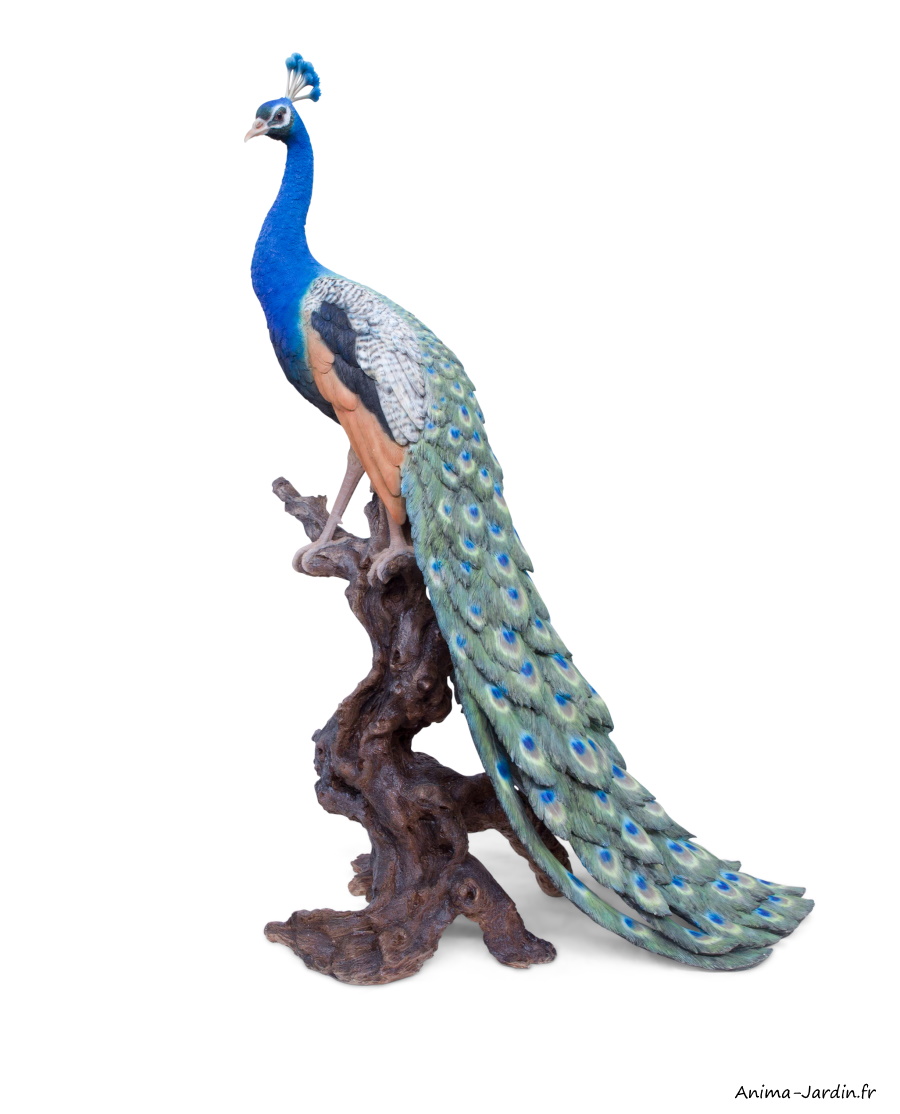 Paon XXL, H.134 cm, décoration extérieur, Garden IDAnima-Jardin.fr