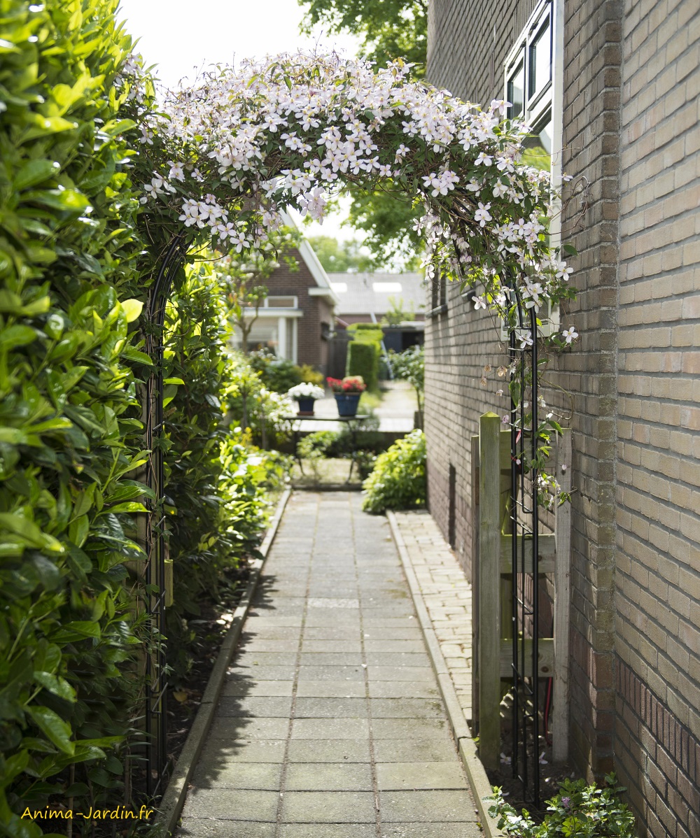 Arche de jardin, portique : supports pour plantes grimpantes