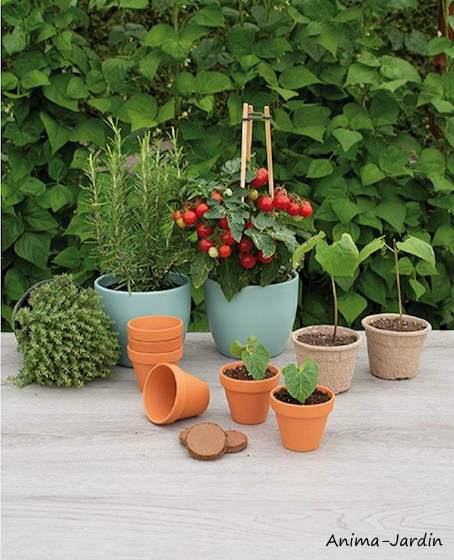 Pots en terre cuite, 7/8cm, 9 pots, jardin, graines, jardinage, culture, achat, vente, pas cher