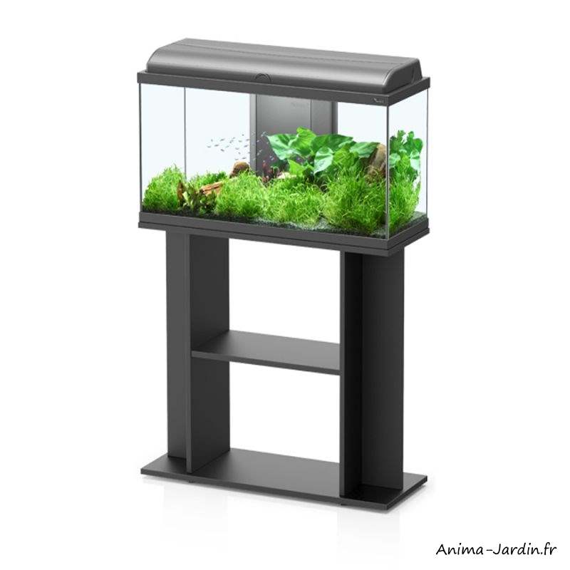 Aquarium, kit Aquadream 80, capacité 79L, inclus éclairage ...
