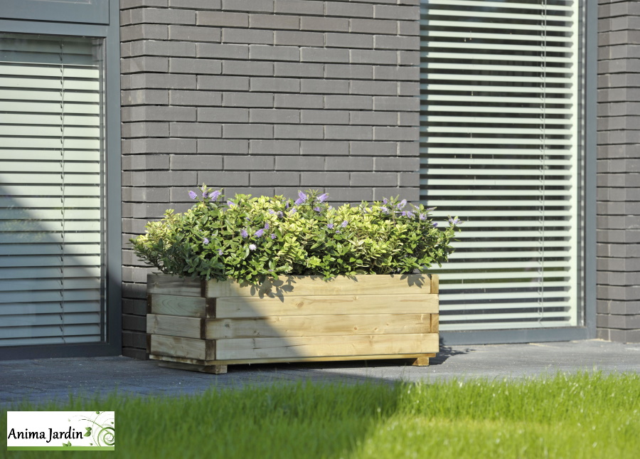 Bac en bois carré WoodFlex 92x34 cm, traité autoclave, OLG, Anima-Jardin.fr