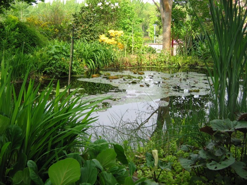 Bâche de Protection en PVC - SSS - pour Bassin de Jardin et