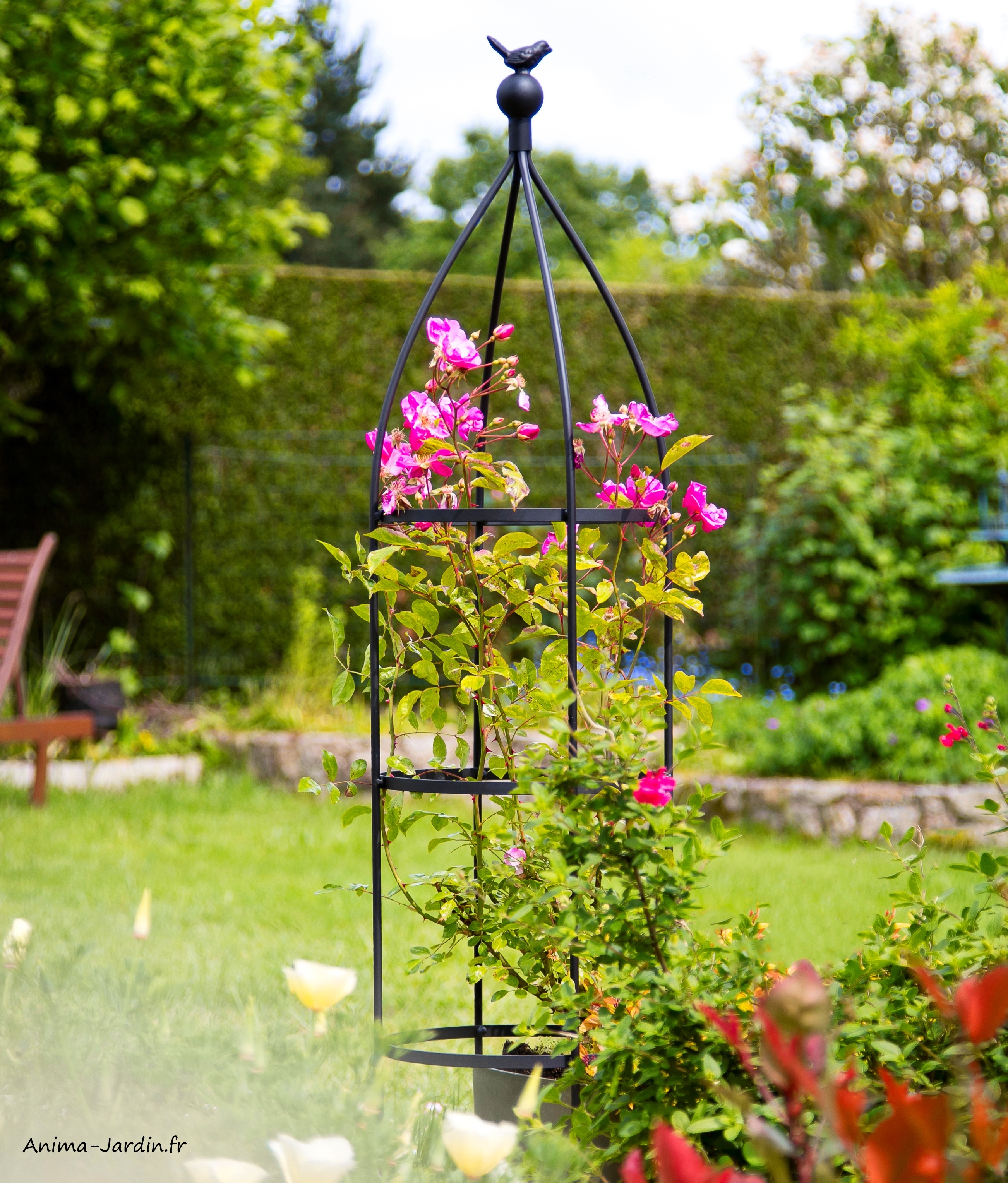 Obélisque-Birdy Obelisk-métal-plantes grimpantes-tuteur-Nortène-Anima-Jardin.fr