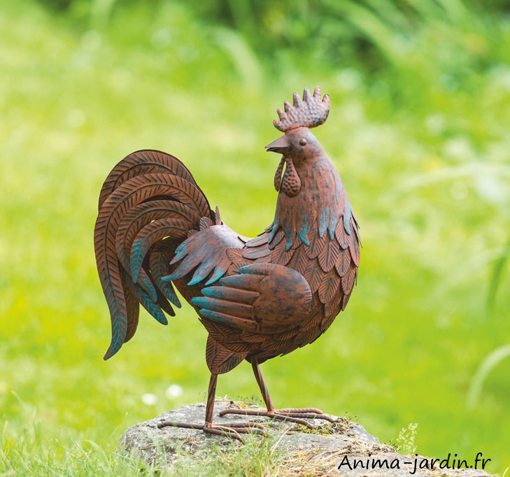 Coq-picoti-métal-anima-jardin.fr