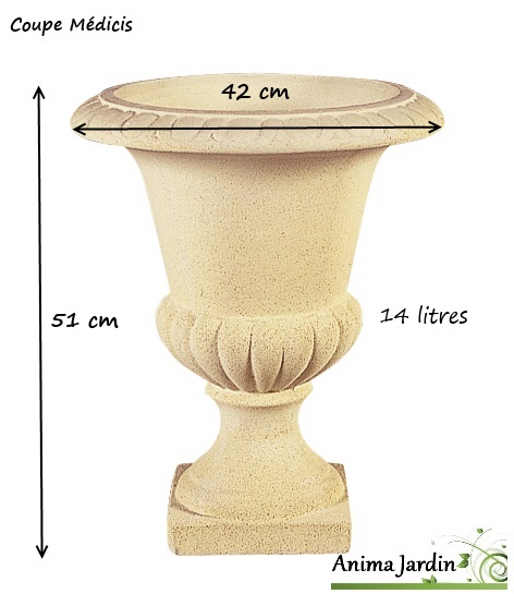 coupe-médicis-dimensions-h51