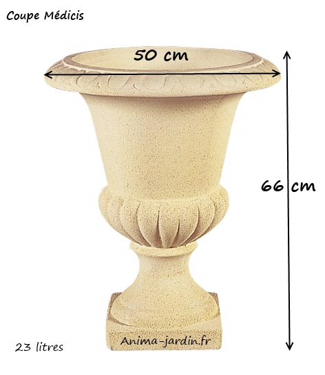 coupe-médicis-dimensions-h66