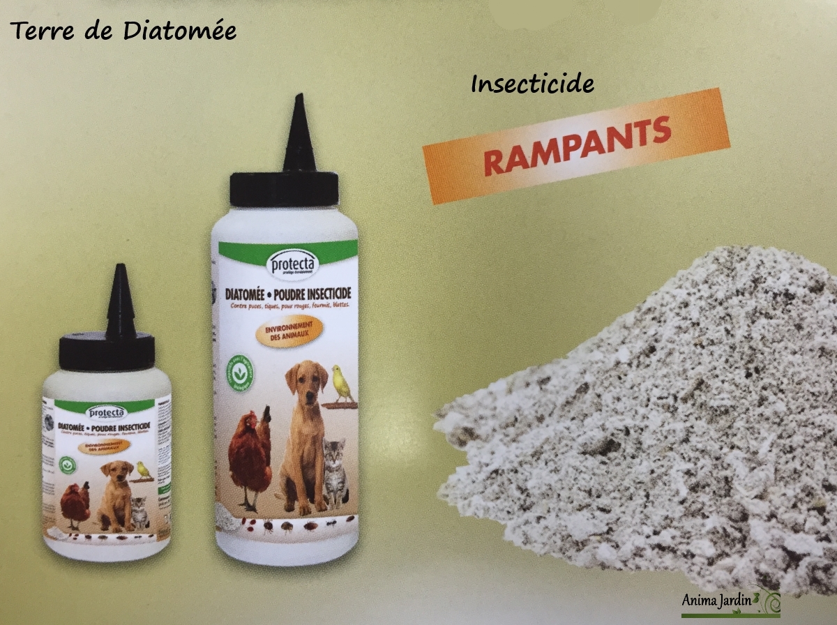 Terre-de-Diatomée-insecticide-diatomite-terre-d’infusoires