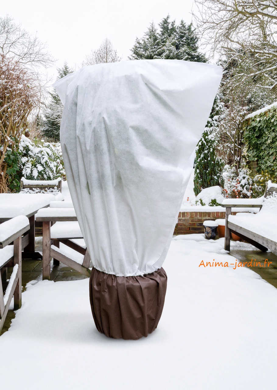 Housse protection du froid pour plantes, voile hivernage x 2