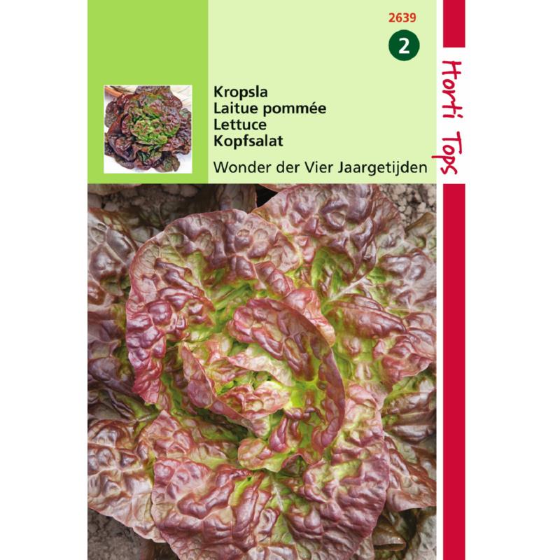 Graines de salade-laitue pommée Merveille des 4 saisons-Hortitops-Anima-Jardin.fr