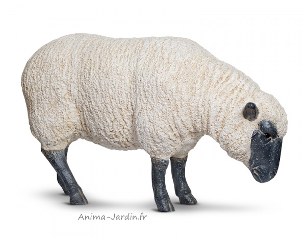 Mouton-tête-basse-blanc-noir-anima-jardin.fr