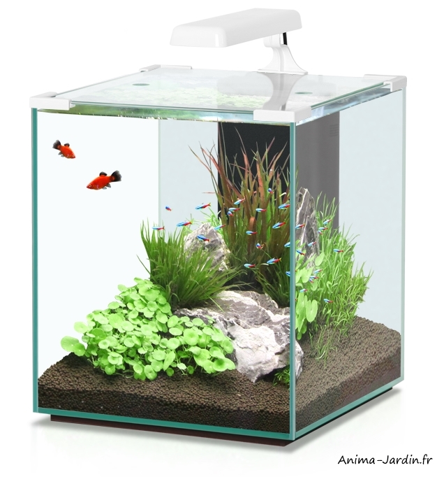 Aquarium, Nano Cubic 40, inclus éclairage et filtre, Aquatlantis