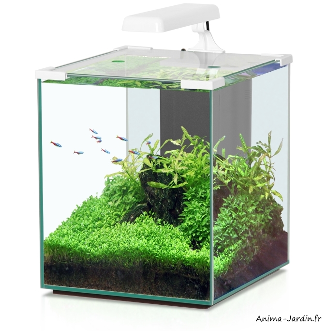 Aquarium-Nano Cubic 30-inclus éclairage et filtre-Aquatlantis-achat-pas cher-Anima-Jardin.fr