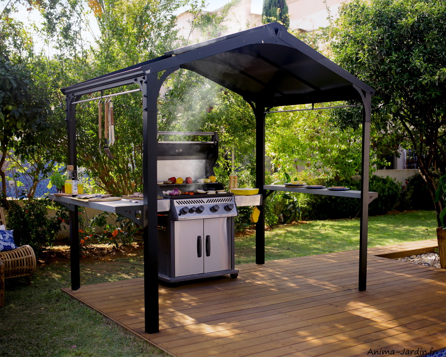 Abri barbecue Austin, 4 m², Aluminium, Canopia by Palram