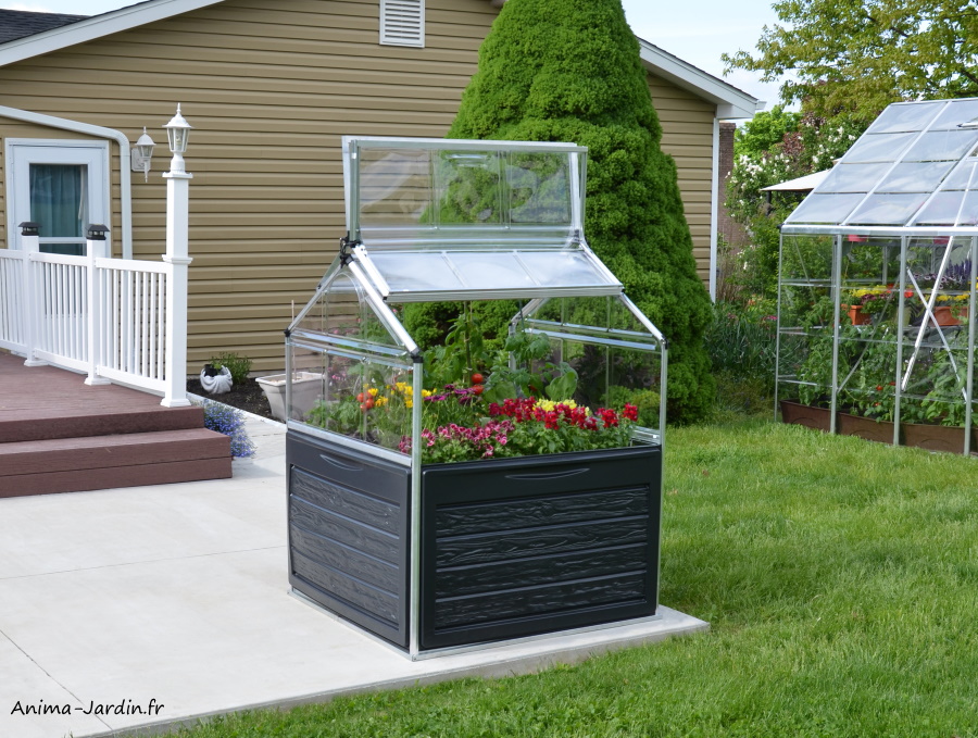 Mini serre de jardin, Plant-Inn, Polycarbonate, Canopia,Anima-Jardin.fr