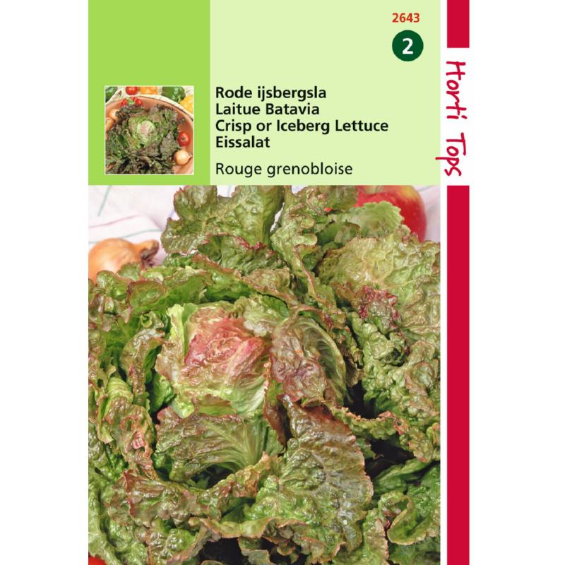 Salade semences Laitue BATAVIA Rouge Grenobloise Précoces SEEDS de France