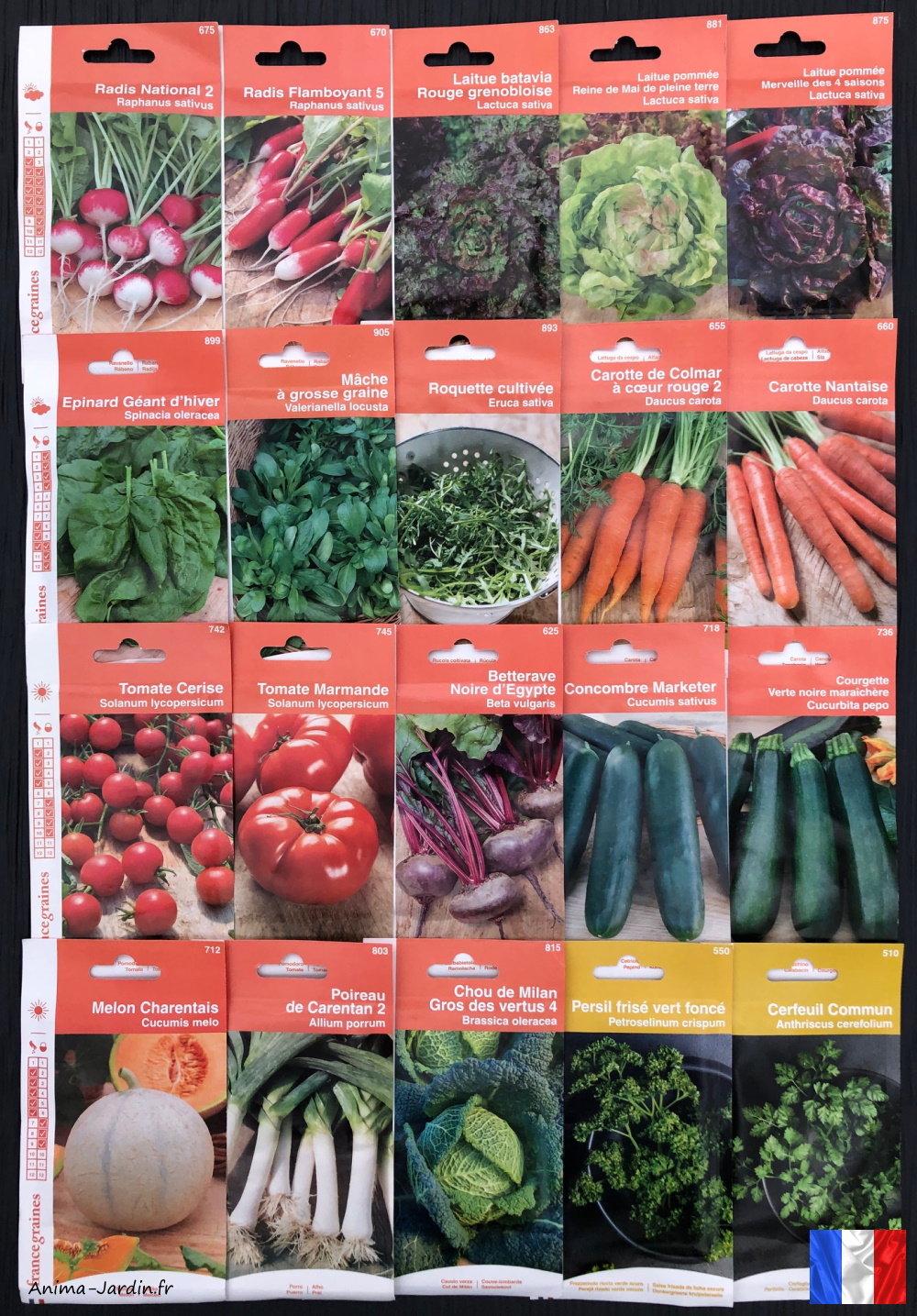 Lot de 20 sachets de graines de légumes potager-jardin ouvrier-graines françaises-économique-achat-pas cher-Anima-Jardin.fr