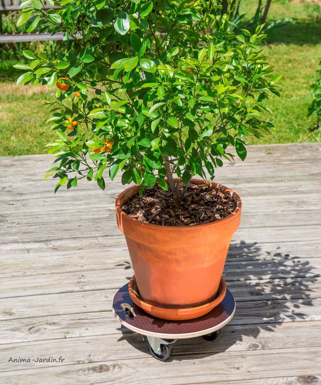 Etagere pour plante  Vente Support Pot de Fleurs