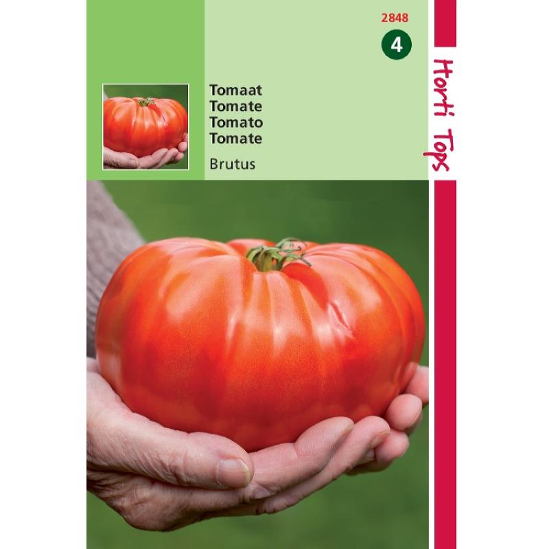 graines de tomate Brutus-gros fruit rond-Hortitops-Anima-Jardin.fr