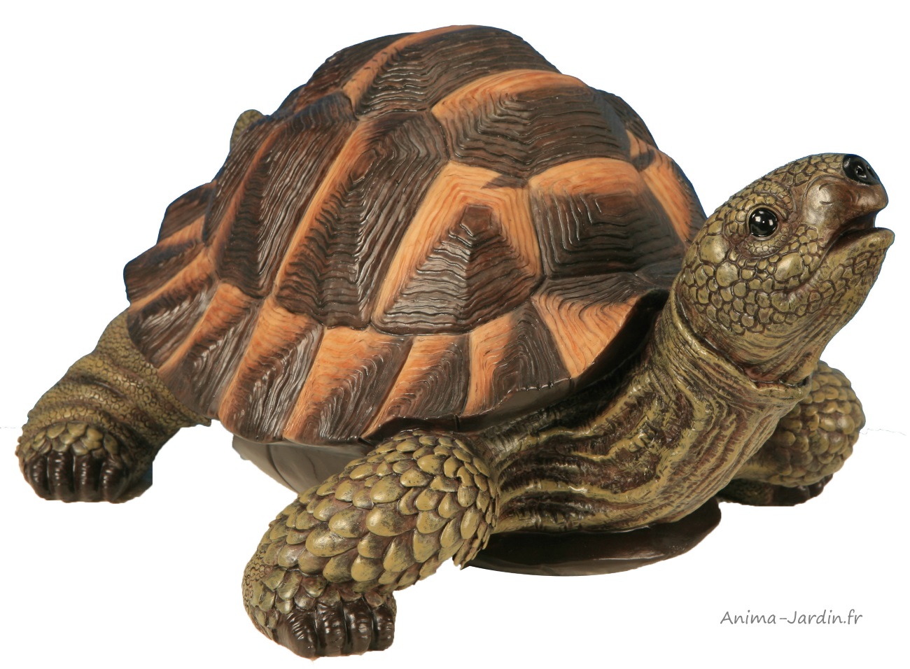 Tortue verte-28cm-résine-animal-décoration de jardin-réptile