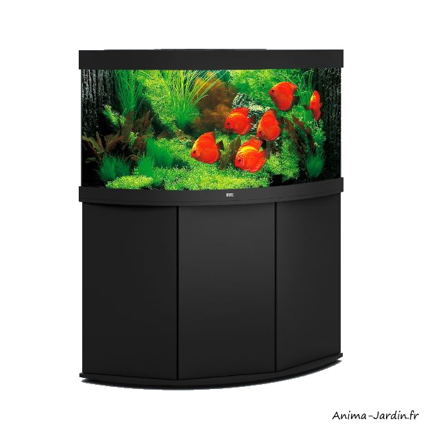 Aquarium Trigon 350 LED-aquarium d'angle-350 Litres-kit complet-éclairage-filtre-pompe-Juwel-achat-Anima-Jardin.fr