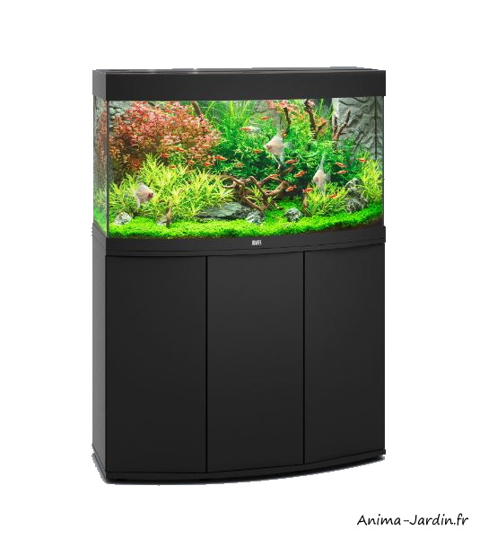 Aquarium Vision 180 LED-verre incurvé-180 litres-kit complet-éclairage-filtre-pompe-Juwel-achat-pas cher-Anima-Jardin.fr