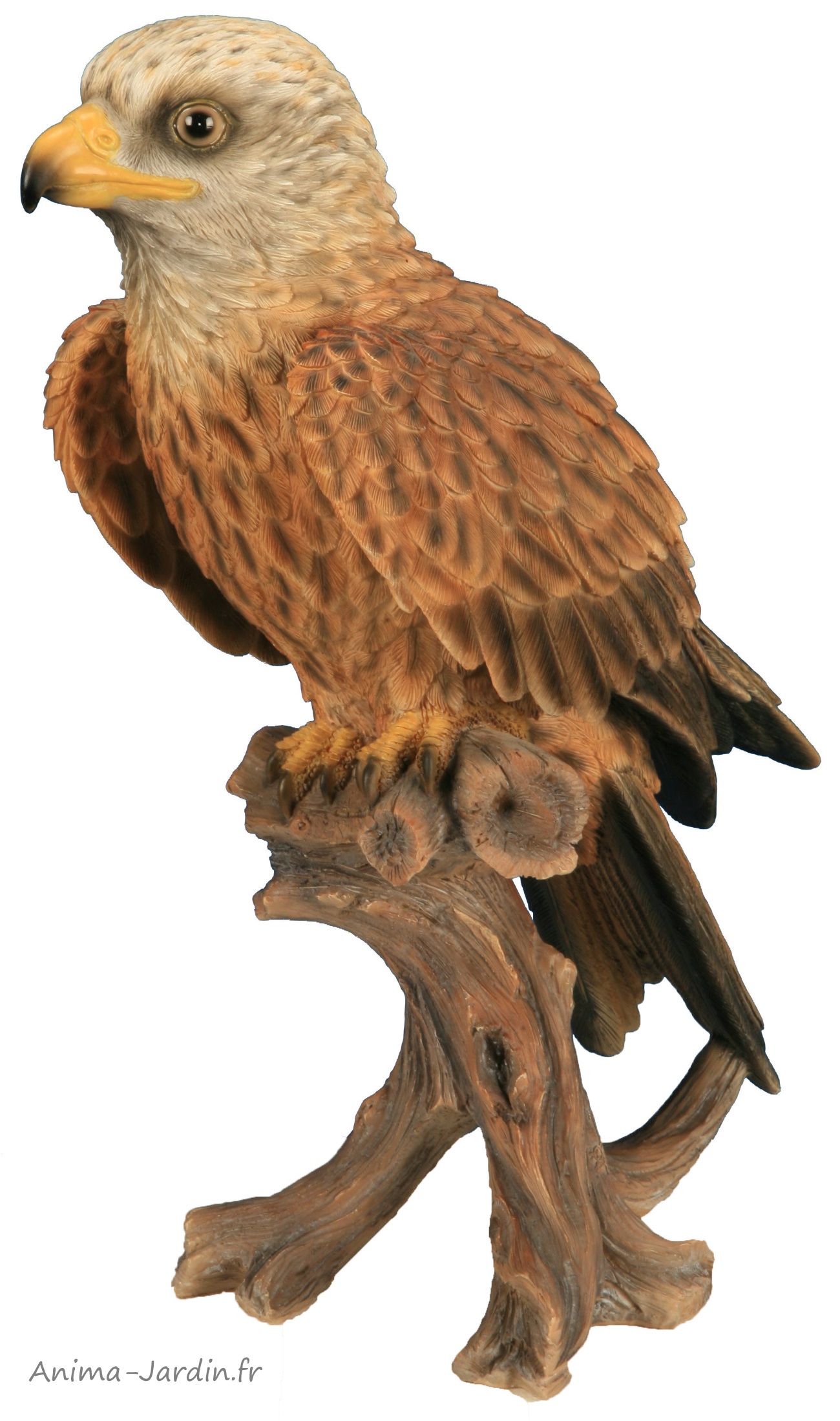 milan royal-rapace-oiseau-animal-anima-jardin