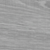 Frêne Gris